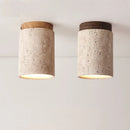 Axyaa Nordic Ceiling Light - Minimalist LED Lamps for Bedroom & Living Room