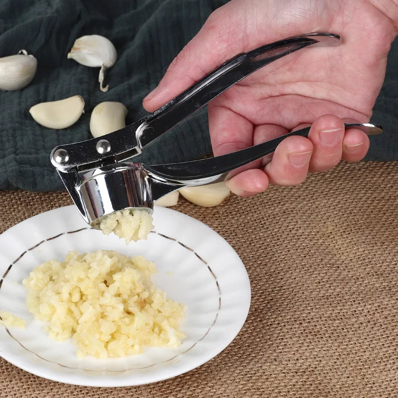Axyaa Stainless Steel Garlic Press Squeezer Mincer Tool for Kitchen