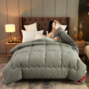 Axyaa Winter Antibacterial Class A Cotton Quilt - 6kg Single/Double Space Quilt