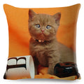 Axyaa British Shorthair Russian Blue Cat Cushion Cover - Cute Pet Animal Pillowcase