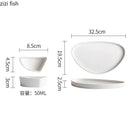 Axyaa Circular Triangle Ceramic Plate Steak Pasta Salad Dessert Molecular Cuisine Tableware