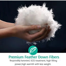 Axyaa Full/Queen Lightweight Down Comforter - Ultra Soft Fluffy Duvet Insert