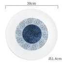 Axyaa Ceramic Dining Plate Set for Molecular Cuisine Display and Restaurant Steak