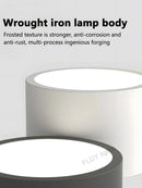 Axyaa Nordic LED Ceiling Light for Living Room Bedroom Hallway Corridor