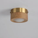 Axyaa Modern LED Ceiling Lights for Home Decor, Indoor Chandelier Lamp