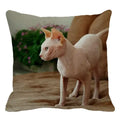 Cute Axyaa Sphinx Cat Cushion Cover 45X45cm - Home Sofa Decoration Pillowcase