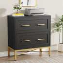 Axyaa 2 Drawer Lateral File Cabinet for Letter/Legal/A4 Size, Modern File Storage