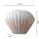 Axyaa Shell Glass Vase Whelk Scallop Floral Arrangement Terrarium Home Decoration