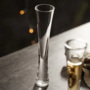 Axyaa Elegant Crystal Champagne Flute Slim Glass Heavy Bottom Sparkling Wine Cup