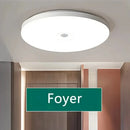 Axyaa Motion Sensor LED Ceiling Light for Corridor Staircase Home Garage