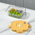 Axyaa Divided Bento Box: Reusable Leak Proof Lunch Container