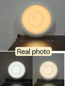 Axyaa Circular Ceiling Lamp: Elegant Aisle Chandelier for Home Decor Lighting