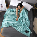 Axyaa Luxury Silk Quilt Queen Comforter Ultra-Soft Spring/Summer Satin Quilted High-End