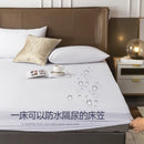 Axyaa Waterproof Fitted Sheet Mattress Cover, Breathable Dust Cover - 1 Piece