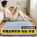 Axyaa Double-Sided Ice Silk Mat: Soft Student Mattress for Summer, Foldable Sponge Cushion