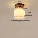 Axyaa Modern Copper Glass LED Ceiling Light for Living Room, Kitchen & Balcony