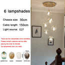 Axyaa Luxury Crystal Chandelier for Living Room and Bedroom Lighting