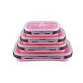 Axyaa Foldable Silicone Lunch Box Set - Microwave Safe & Portable