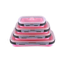Axyaa Foldable Silicone Lunch Box Set - Microwave Safe & Portable