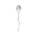 Axyaa Stainless Steel Rainbow Utensils Set for Dining and Dessert