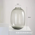 Axyaa Glass Hydroponic Vase Small Mouth Decorative Dried Flower Arrangement Craft
