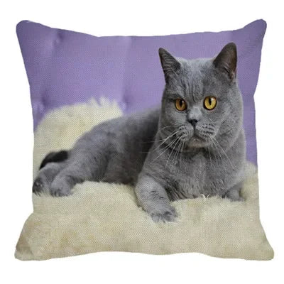 Axyaa British Shorthair Cat Pillow Cover 45X45cm Square Cushion