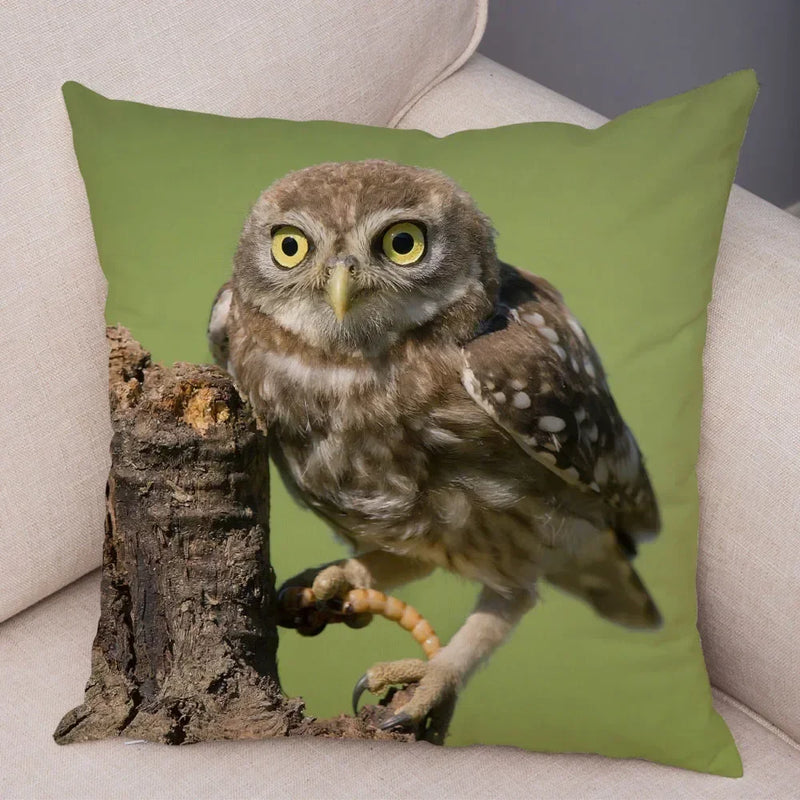 Axyaa Wild Owl Cushion Cover: Decorative Sofa Pillowcase for Home and Children's Room