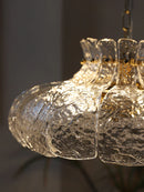 Axyaa Clear Glass Pendant Chandelier Indoor Lighting
