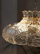 Axyaa Clear Glass Pendant Chandelier, LED Indoor Lighting for Bedroom, Bar, Dining Room.