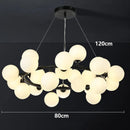 Axyaa Modern Ceiling Chandelier for Dining Room and Living Room Lighting