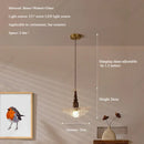 Axyaa LED Glass Lampshade Chandelier for Living Room, Bedroom, and Cafe Lighting