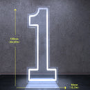 Axyaa Neon Double Digit Acrylic Digital Light for Birthday Party