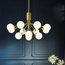 Axyaa Nordic Bean Glass Ball Chandelier for Modern Home Decor
