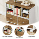Axyaa Wood File Cabinet: 2 Drawers, Mobile, Lateral, Letter Size, Printer Stand