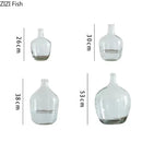 Axyaa Glass Vase: Big Belly Flower Arrangement Hydroponics Home Decoration