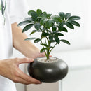 Axyaa Geometric Flowerpot Vase for Succulents and Balcony Decor