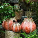 Axyaa Pumpkin Flower Vase for Garden and Courtyard Decoration - Ceramic Succulent Pot