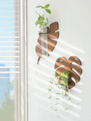 Axyaa Wood Wall Planters Turtle Back Leaf Pots Indoor Propagation Station