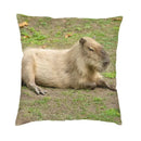 Axyaa Capybara Home Cushion Cover - Nordic Throw Pillow Cover