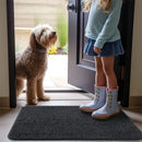 Axyaa Mud Mat: Absorbent Non-Slip Washable Microfiber Dog Door Mat