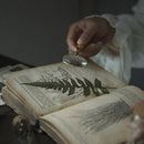 Axya Magnifying Glass 5X: Reading, Repair, Decor, Photography, Office Essentials