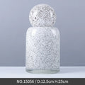 Axyaa Glass Vase with Cover for Flower Arrangements and Hydroponic Display
