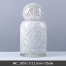 Axyaa Glass Vase with Cover for Flower Arrangements and Hydroponic Display