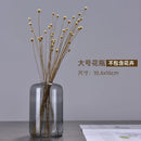 Axyaa Glass Vase Aromatherapy Bottle - Desktop Decor & Hydroponic Flower Pot