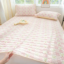Axyaa Ice Silk Mat Cool Mattress Cover 3-Piece Set