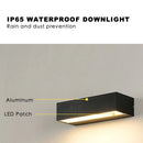 Axyaa LED Outdoor Wall Lamp, IP65 Waterproof Garden Lights for Courtyard, Porch, Balcony, Villa