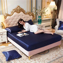 Axyaa Satin Silky Fitted Bed Sheet Set - Luxury Solid Color Sheets & Pillow Cases