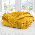 Axyaa Plush Fleece Blanket - Luxurious, Cozy, and Lightweight All-Season Throw