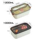 Axyaa Bear & Panda Cartoon Stainless Steel Bento Box for School Picnic Storage