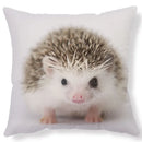 Axyaa Lovely Little Hedgehog Design Cushion Cover for 45*45cm Sofa Pillow